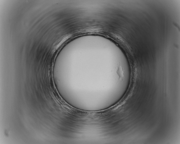 X0000101651162200807100933