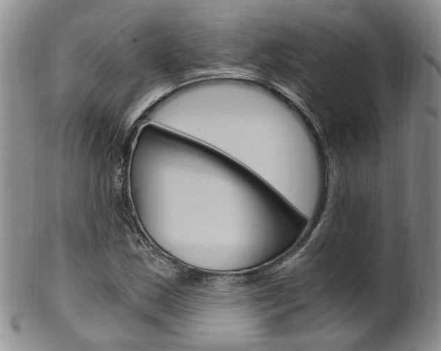 X0000101651163200807100933