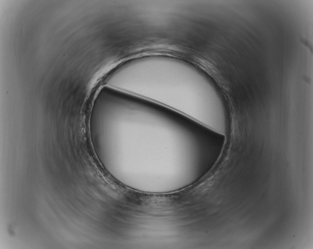 X0000101651164200807100933