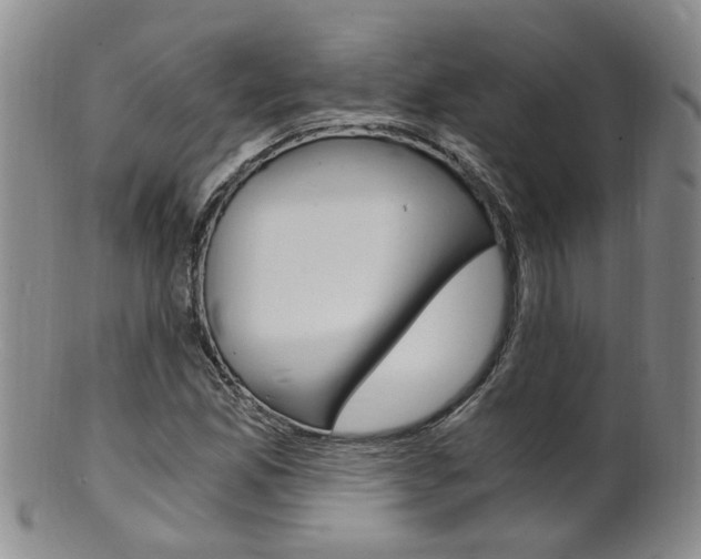 X0000101651165200807100933
