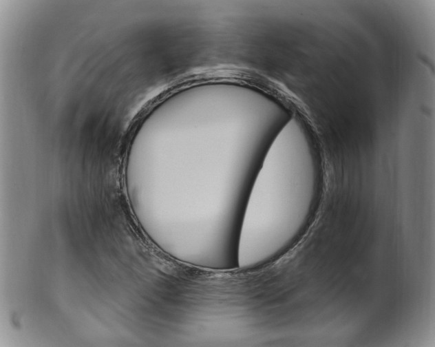 X0000101651166200807100933