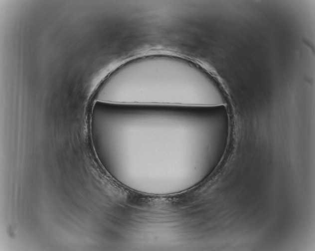 X0000101651167200807100933