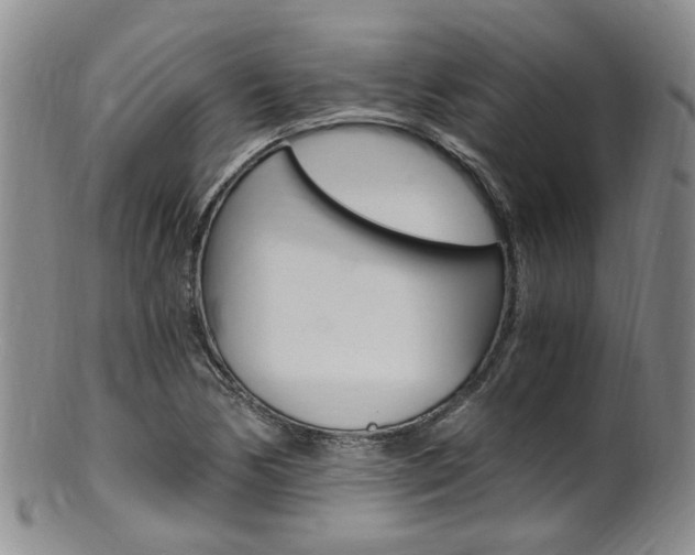 X0000101651170200807100933