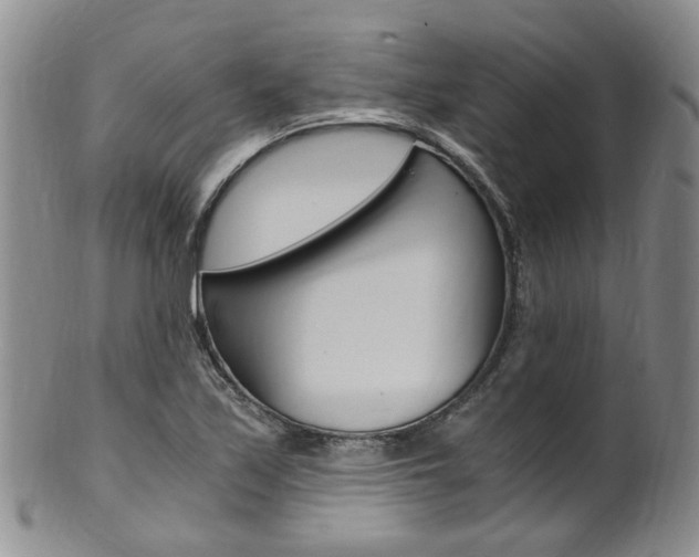 X0000101651171200807100933
