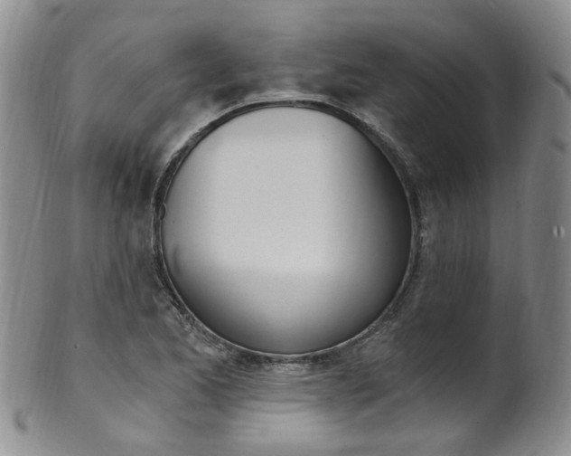 X0000101651173200807100933