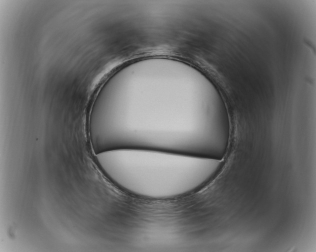 X0000101651174200807100933