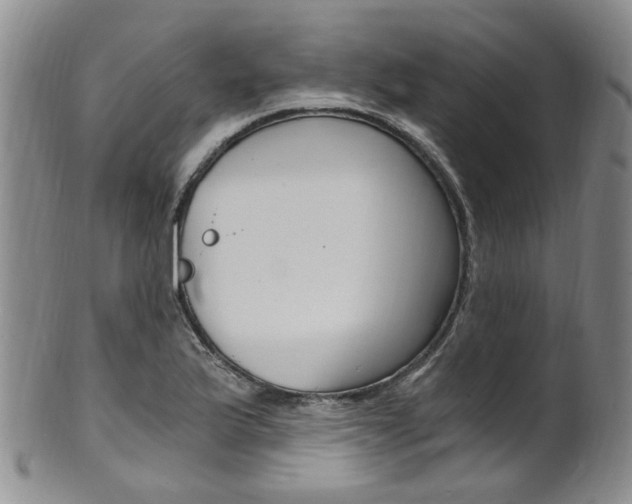 X0000101651175200807100933