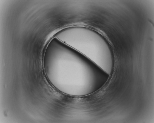X0000101651176200807100933