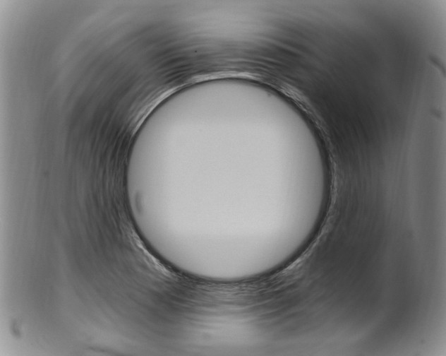 X0000101651177200807100933