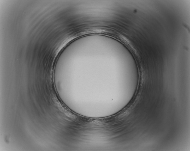 X0000101651178200807100933