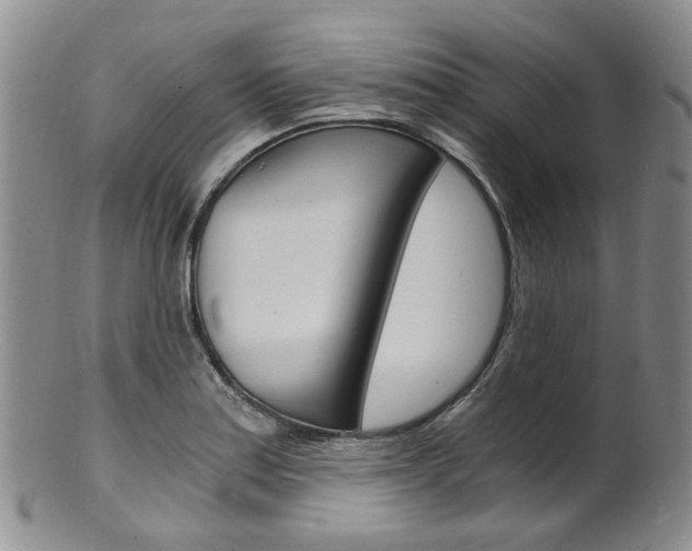X0000101651179200807100933