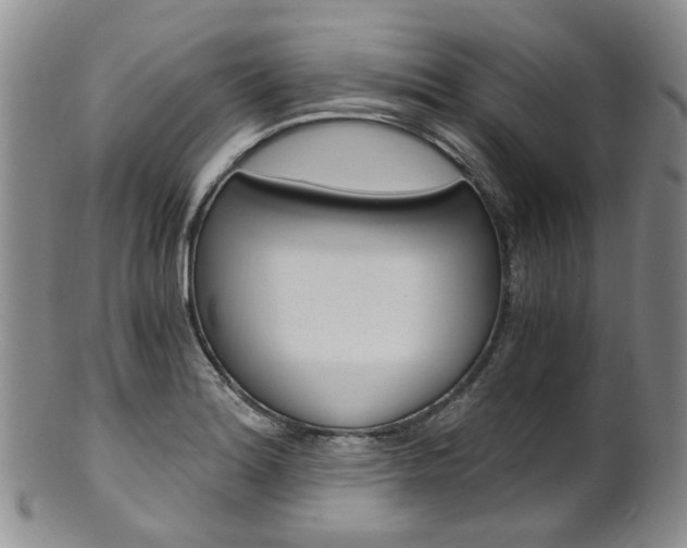 X0000101651180200807100933