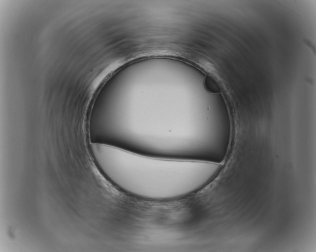 X0000101651181200807100933