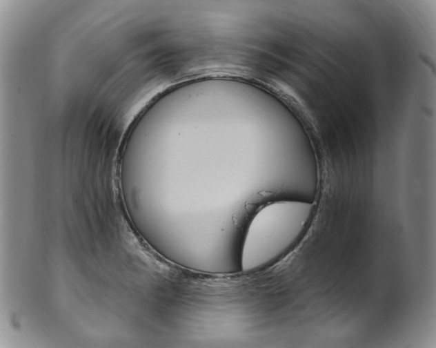 X0000101651182200807100933