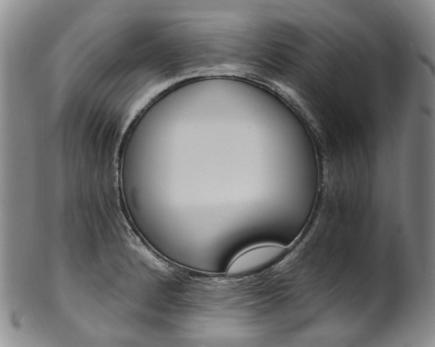 X0000101651184200807100933