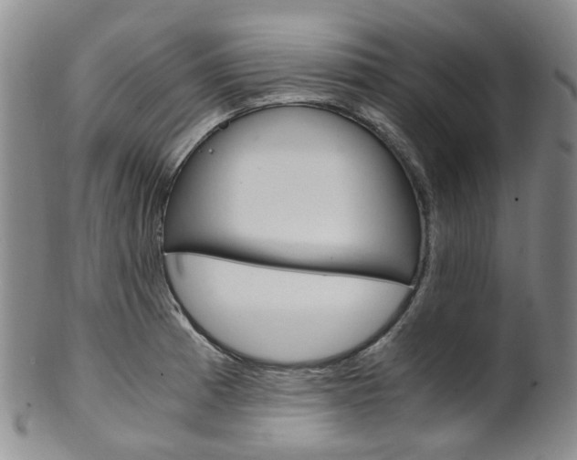 X0000101651185200807100933