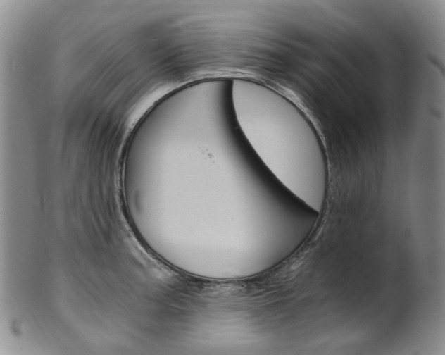 X0000101651187200807100933