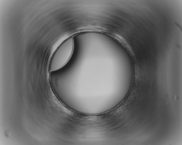 X0000101651188200807100933
