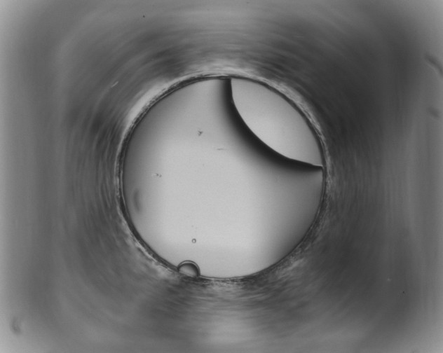 X0000101651191200807100933