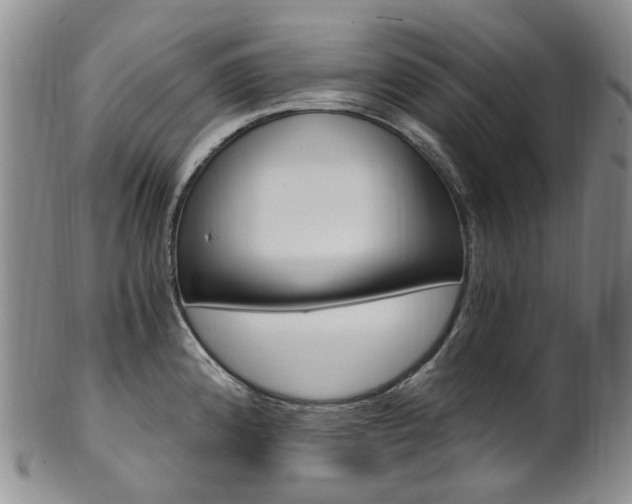 X0000101651192200807100933