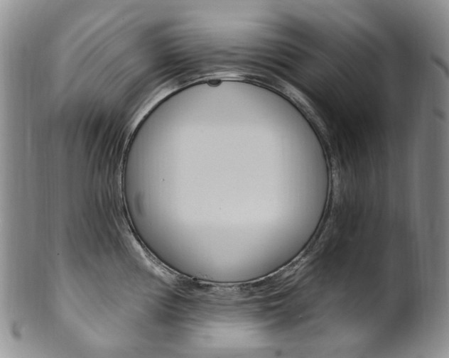 X0000101651194200807100932