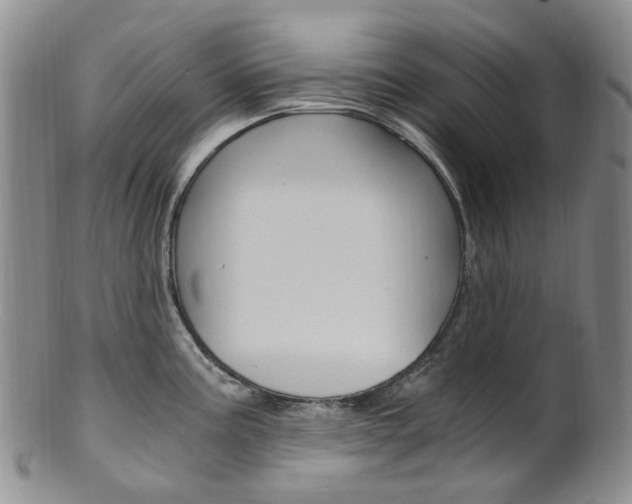 X0000101651195200807100932