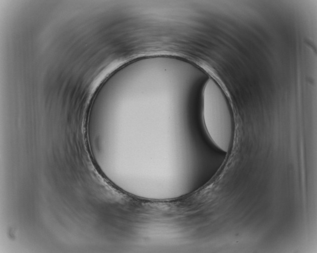 X0000101651197200807100932