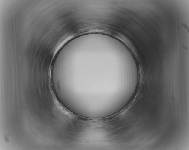 X0000101651198200807100932
