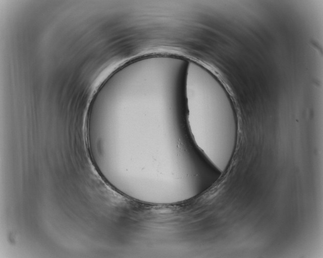 X0000101651199200807100932