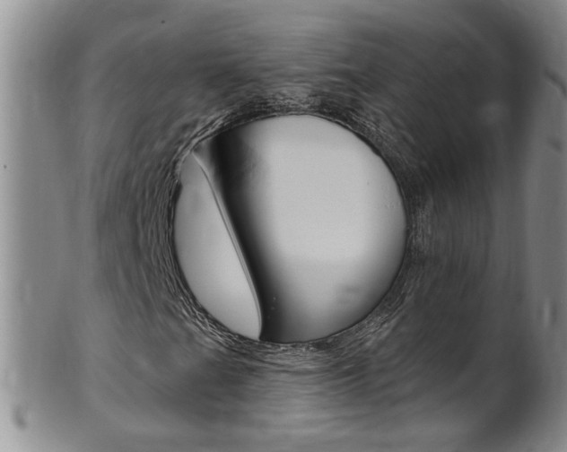 X0000101651201200807100932
