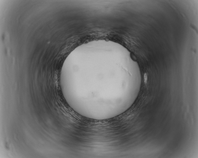 X0000101651203200807100932
