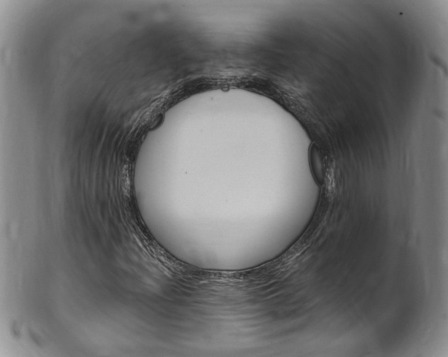 X0000101651204200807100932