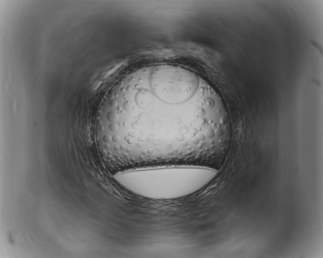 X0000101651205200807100932