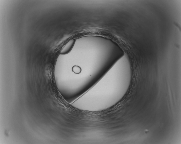 X0000101651206200807100932