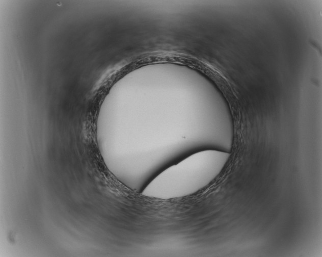 X0000101651207200807100932