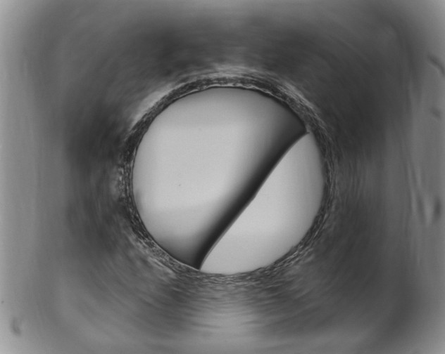 X0000101651208200807100932