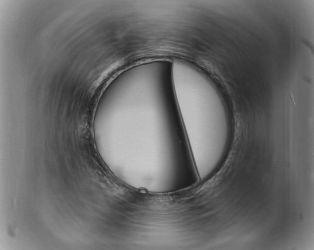 X0000101651210200807100932
