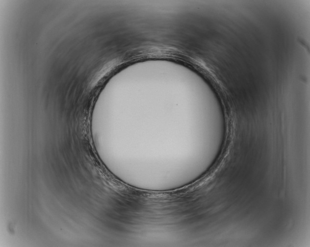 X0000101651211200807100932