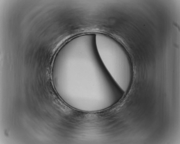 X0000101651212200807100932