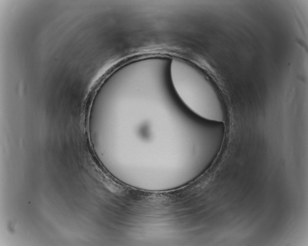 X0000101651216200807100932