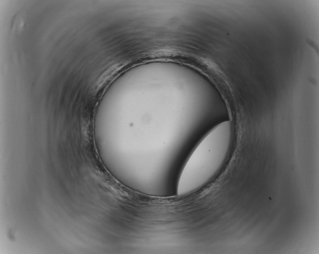 X0000101651217200807100932