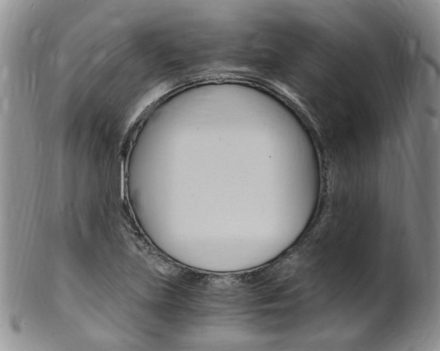 X0000101651219200807100932