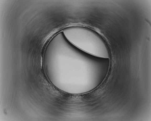 X0000101651221200807100932