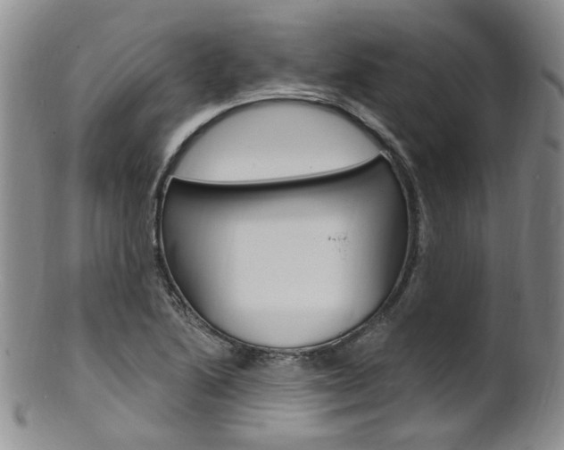 X0000101651222200807100932