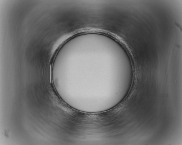 X0000101651223200807100932