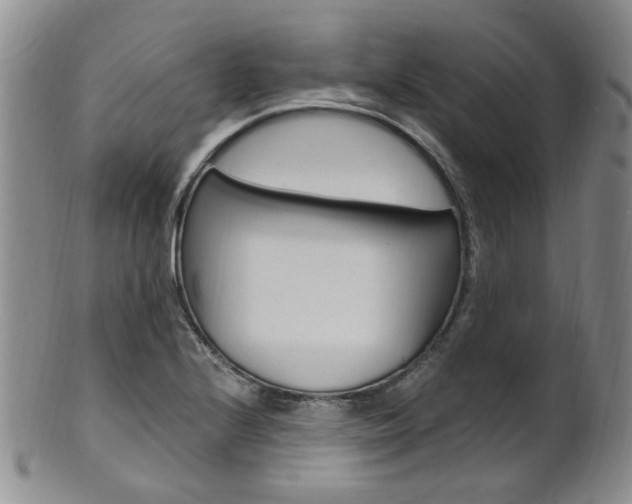 X0000101651224200807100932