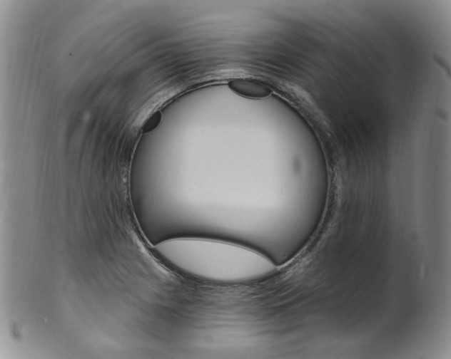 X0000101651225200807100932