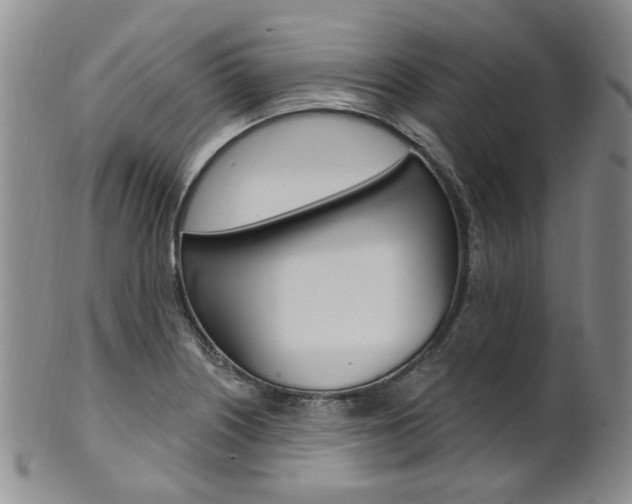 X0000101651226200807100932