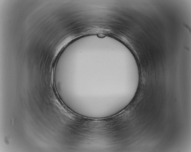 X0000101651227200807100932
