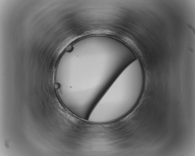 X0000101651228200807100932